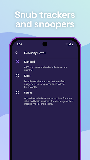 Tor Browser ekran görüntüsü