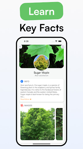 TreeID - Tree Identifier ekran görüntüsü