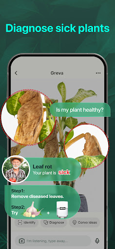 PlantAI: Identifier & Diagnose ekran görüntüsü