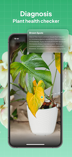 LeafSnap Plant Identification ekran görüntüsü