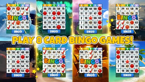 Absolute Bingo ekran görüntüsü