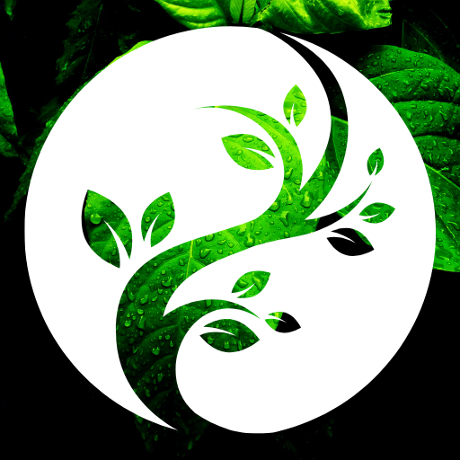 Meditation & Sleep Hypnosis