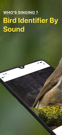 Bird Sound Identifier Bird ID ekran görüntüsü