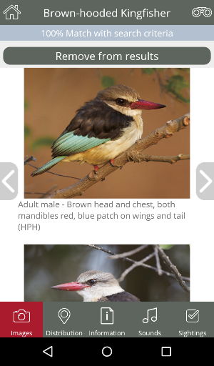 BirdPro ekran görüntüsü