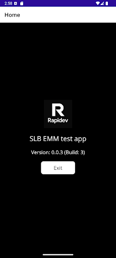 Rapidev ekran görüntüsü