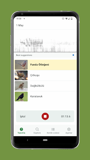 Merlin Bird ID by Cornell Lab ekran görüntüsü