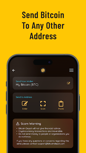 Bitcoin Depot ekran görüntüsü