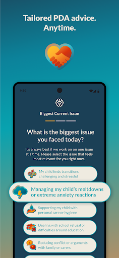 PDA Pro for Demand Avoidance ekran görüntüsü