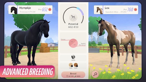 Equestrian the Game ekran görüntüsü