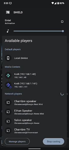 Yatse: Kodi remote and cast ekran görüntüsü