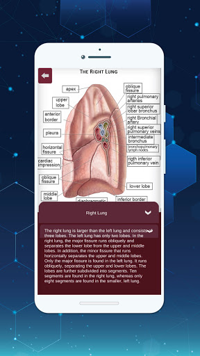 Complete 3D Female Anatomy ekran görüntüsü