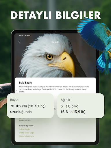 Bird Identifier Sound Guide ekran görüntüsü