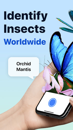 Picture Insect: Bug Identifier ekran görüntüsü