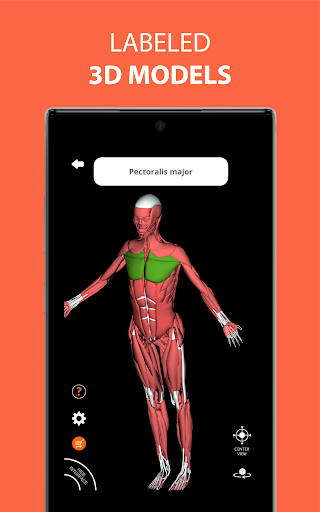 Human Anatomy Learning - 3D ekran görüntüsü