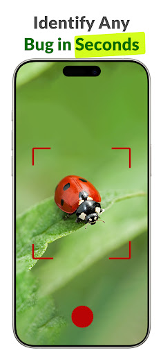 LadyBug Insect: Bug Identifier ekran görüntüsü