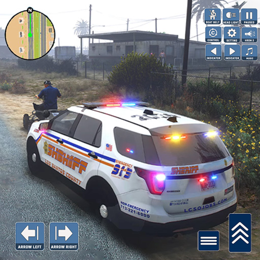 Police Robber Chase: Car Game