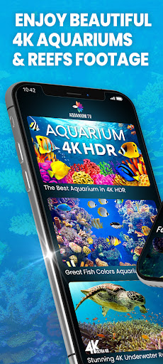 Aquariums TV ekran görüntüsü