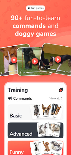 PawChamp - Dog Training & Care ekran görüntüsü