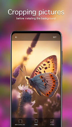Butterfly Wallpapers 4K ekran görüntüsü