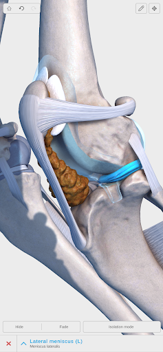 Complete Canine 3D - anatomy ekran görüntüsü