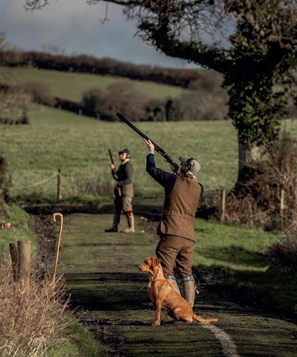 Gundog Journal Magazine ekran görüntüsü