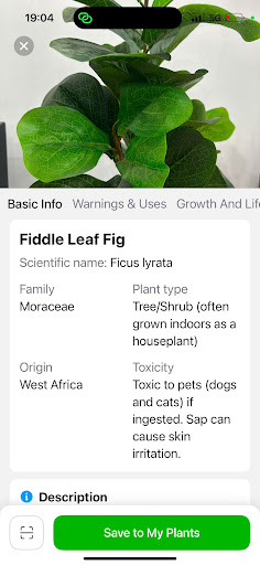 Plant Identification PlantID ekran görüntüsü