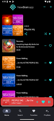 NewBrain.app ekran görüntüsü
