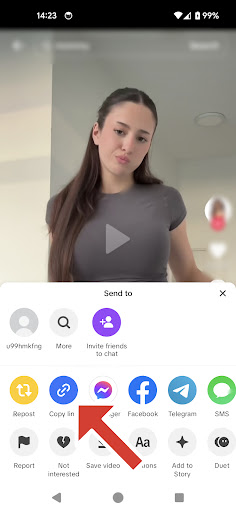 Download video no watermark ekran görüntüsü