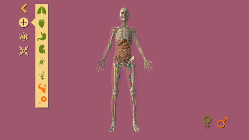 Arloon Anatomy AR ekran görüntüsü