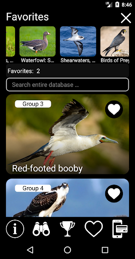 Birds of Russia Field Guide ekran görüntüsü