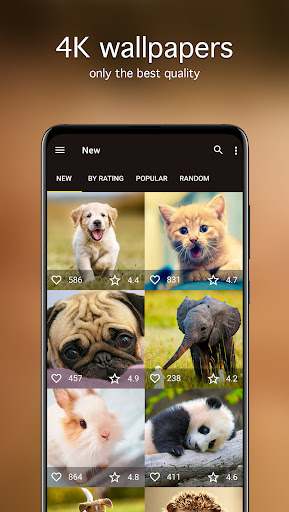 Cute Animal Wallpapers 4K ekran görüntüsü
