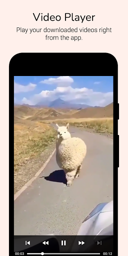 Video Downloader for Reddit ekran görüntüsü