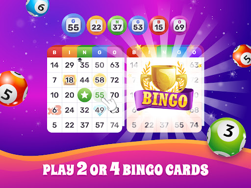 Bingo Lotto: Win Lucky Number ekran görüntüsü