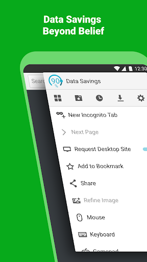 Puffin Web Tarayıcısı ekran görüntüsü