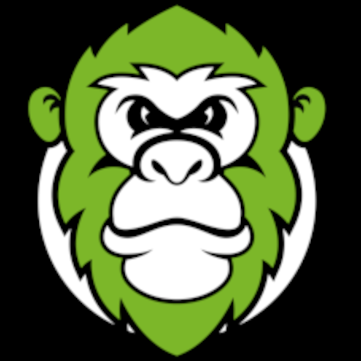 Jungle Gym app