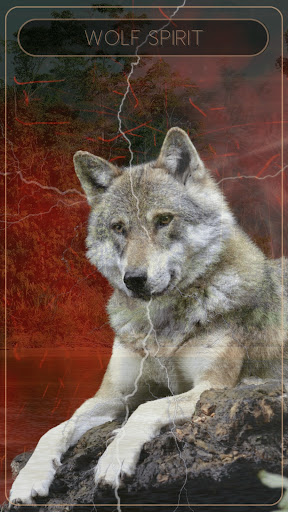 Shamanic Oracle Cards ekran görüntüsü