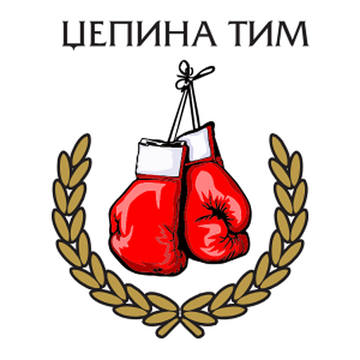 Džepina tim