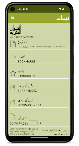 Quraan-E-Karim (13 Lines) ekran görüntüsü