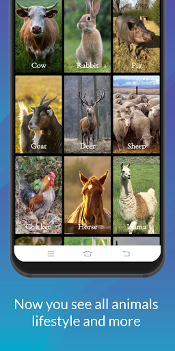 Animals  Information ekran görüntüsü