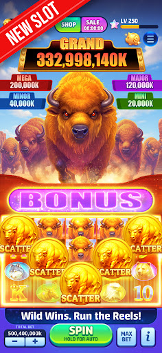 Vegas Frenzy ekran görüntüsü