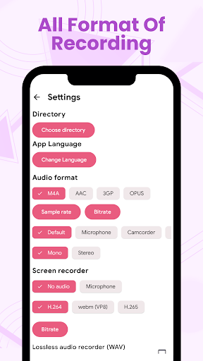 Voice Recorder ekran görüntüsü