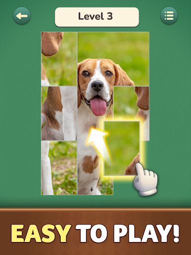 JigSolve Jigsaw Picture Puzzle ekran görüntüsü