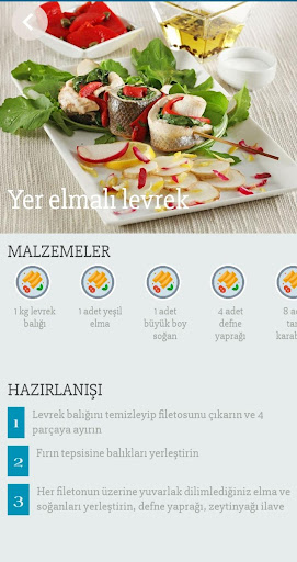 Balık Tarifleri ekran görüntüsü