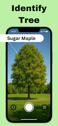 Tree Identifier : Treezy ekran görüntüsü