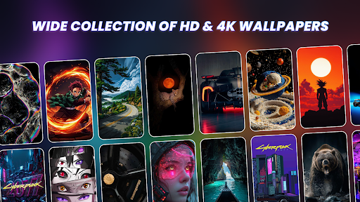 Wallpapers HD & 4K ekran görüntüsü