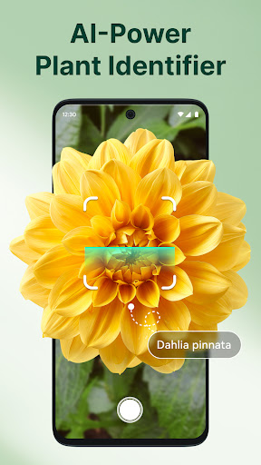 ArtReel - AI Plant Identifier ekran görüntüsü