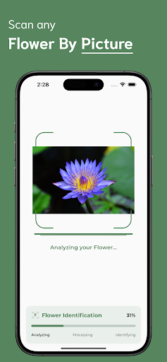 Flower Identifier ekran görüntüsü