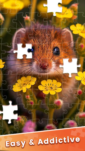 HD Jigsaw Puzzles Sorting Game ekran görüntüsü
