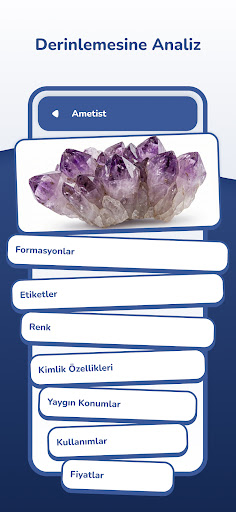Kaya Tanımlayıcı - Crystal ID ekran görüntüsü
