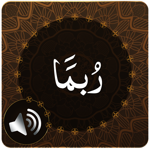 Para 14 Audio